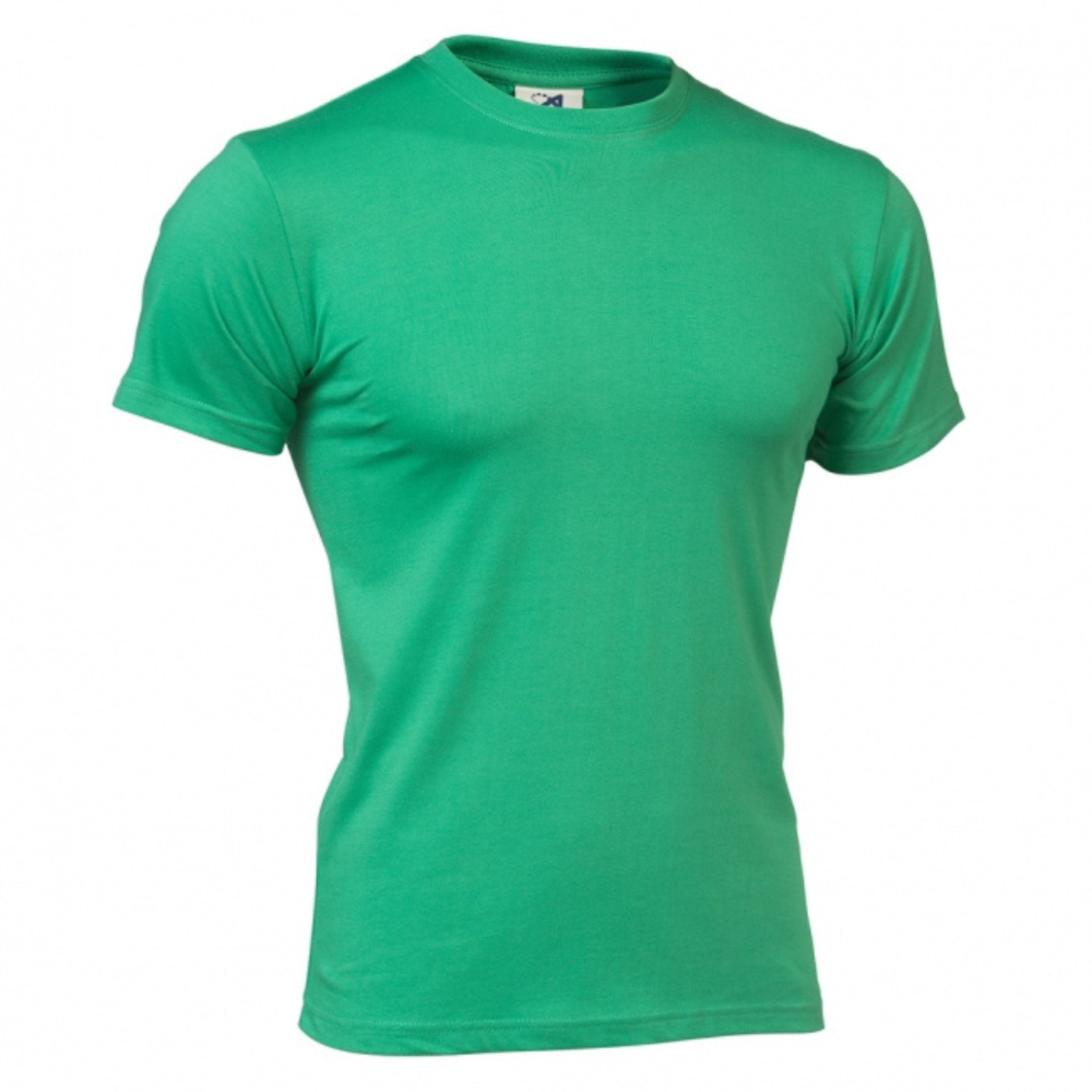 Camiseta Manga Curta Unissex Prata Asioka - Verde | Sport Zone MKP