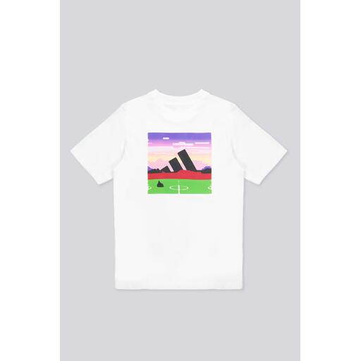 adidas Pro
