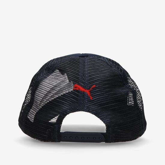 Puma Style