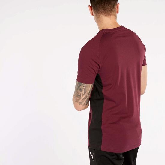 Puma Tech