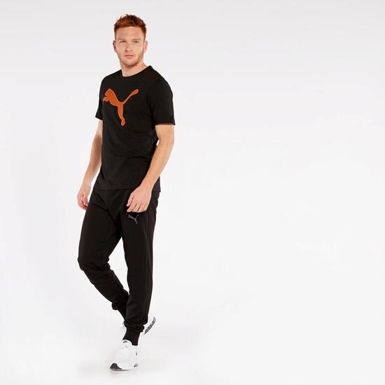Puma Modern