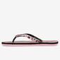 Chanclas Playa Rosas Mujer Silver