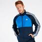 Chándal adidas Marino
