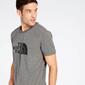 Camiseta The North Face Gris