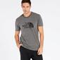 Camiseta The North Face Gris