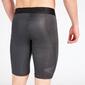 adidas Alphaskin Sport Grises