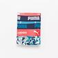 Boxer Puma