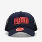 Puma Style
