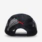 Puma Style