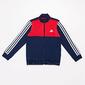 Chándal adidas Tibero