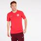 Camiseta Entrenamiento Barcelona C.F.