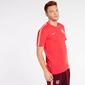 Camiseta Entrenamiento Barcelona C.F.