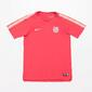Camiseta Entrenamiento Barcelona C.F.