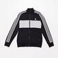 adidas Stripes