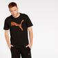 Puma Modern