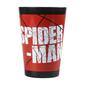 Neceser Aseo Spiderman