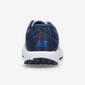 New Balance W520 New Balance W520