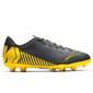 Nike Mercurial Vapor 12 MG Nike Mercurial Vapor 12 MG
