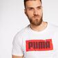 Puma Wording Puma Wording
