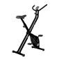 Bodytone Dux X-bike Bodytone Dux X-bike