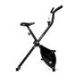 Bodytone X-Bike Bodytone X-Bike