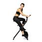 Bodytone X-Bike Bodytone X-Bike