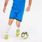 Calções Team Quest Basic - Azul - Calções Futebol Homem Calções Team Quest Basic - Azul - Calções Futebol Homem