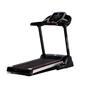 Bodytone Treadmill DT14