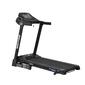Bodytone Treadmill DT14