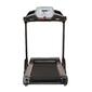 Bodytone Treadmill DT14 Bodytone Treadmill DT14