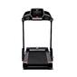 Bodytone Treadmill DT14