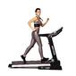 Bodytone Treadmill DT14