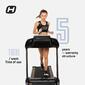 Bodytone Treadmill Dt14 Bodytone Treadmill Dt14