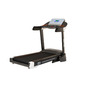 Bodytone Treadmill Dt20 Bodytone Treadmill Dt20