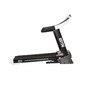 Bodytone Treadmill Dt20 Bodytone Treadmill Dt20