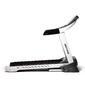 Bodytone Treadmill DT20