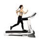 Bodytone Treadmill DT20