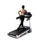 Bodytone Treadmill DT20