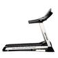 Bodytone DT 22W