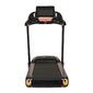 Bodytone DT 22W Bodytone DT 22W