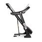 Bodytone DT 22W Bodytone DT 22W