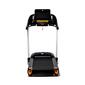 Bodytone DT 22W
