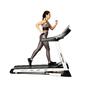 Bodytone DT 22W