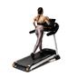 Bodytone DT 22W