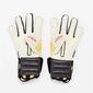 Rinat Fenix Quantum Pro Gold Rinat Fenix Quantum Pro Gold