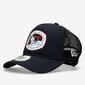 New Era Isa Collection New Era Isa Collection