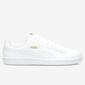 Puma Up Puma Up