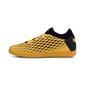 Puma Future 5.4 Sala Puma Future 5.4 Sala