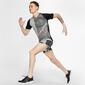 Nike Pegasus Nike Pegasus