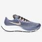 Nike Air Zoom Pegasus 37 Nike Air Zoom Pegasus 37